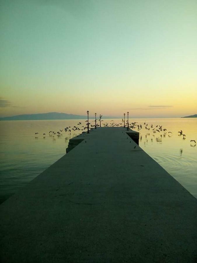 Almira - Rooms To Let Νέα Ρόδα Εξωτερικό φωτογραφία
